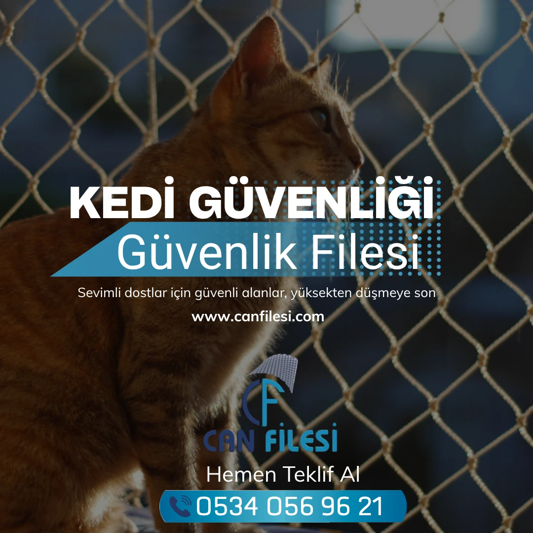 Kedi Güvenlik Filesi